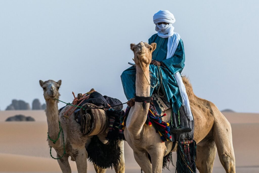 A nomadic man in traditional attire rides camels through the Algerian desert sands.